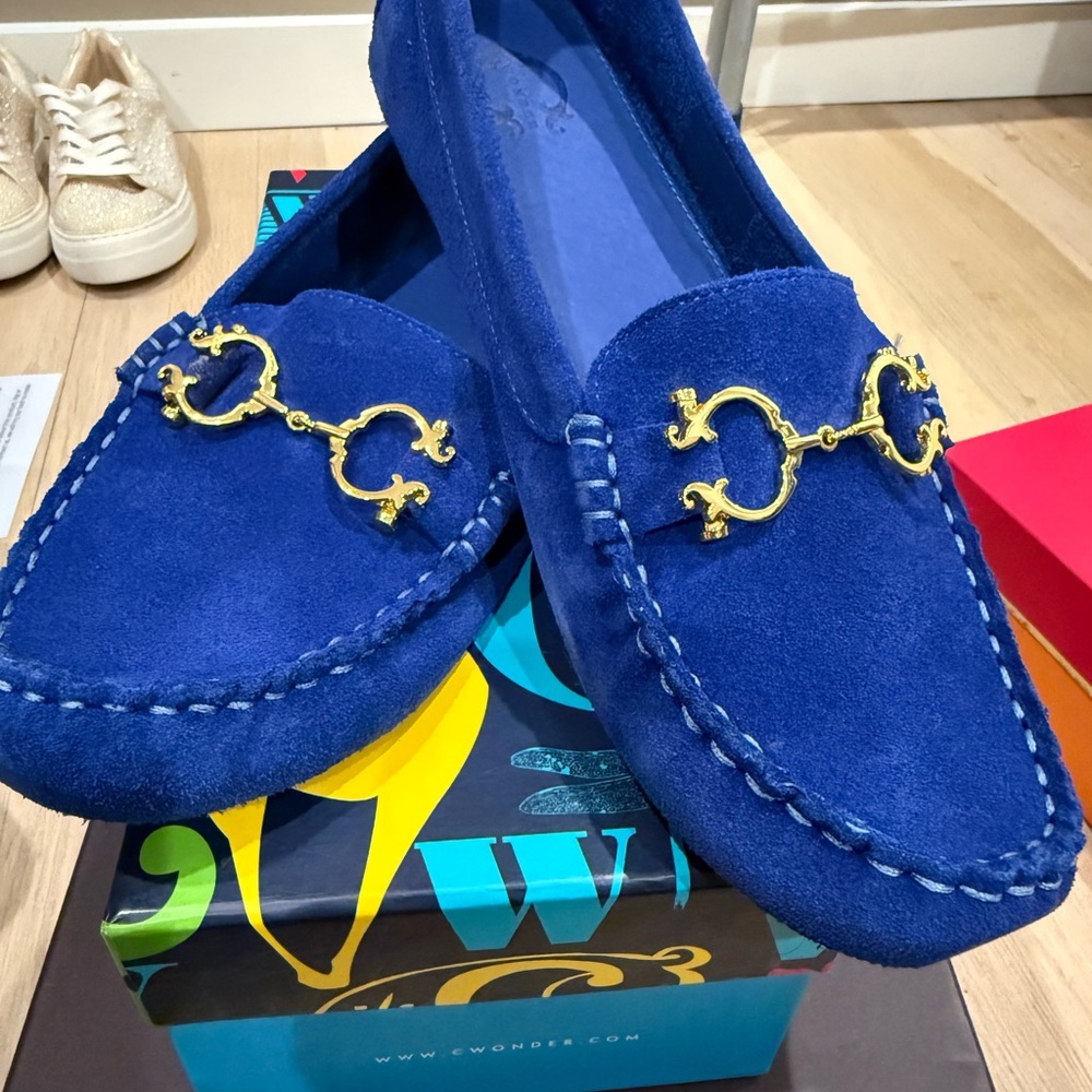 C. Wonder Blue and Gold Flats with Suede Finish